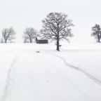 Νίκος Βασιλάκης | Δύο ποιήματα