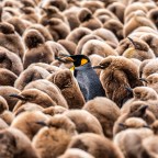 Chania International Photo Festival | Τελευταίες ημέρες για την υποβολή συμμετοχών 