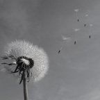 Αργύρης Φυτάκης | Τρεις στίχοι για τον Απρίλη