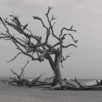 Κώστας Τσιούφης | έρωτας άνισος