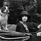 Τόλης Νικηφόρου | γυναίκα