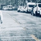 Αλεξία Καλογεροπούλου | Στη Σαγκάη σκοτώνουν σκύλους