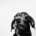 Γιώργος Μολέσκης |  Περπατούσα κάτω από ψιλή βροχή