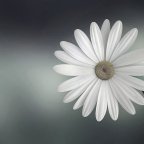 Αχιλλέας Φιστουρής | Απρίλης μήνας