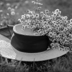 Σπύρος Κιοσσές | Ένα χαϊκού