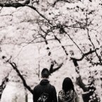 Μαίρη Φλώρου | Ανοιξιάτικο όνειρο