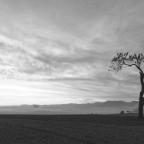 Δημήτρης Καρπέτης | Αιματοβαμμένη ανατολή