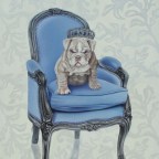 Art Your Pet | Φιλοζωική Ομαδική Έκθεση στην Sianti Gallery