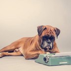 10ος Διεθνής Λογοτεχνικός Διαγωνισμός Φιλοζωίας