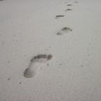 Βάνια Σύρμου | Ένα χαϊκού για τον Ιούνιο