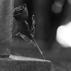 Ελένη Λιντζαροπούλου | Φθόνος