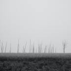 Γιώργος Δουατζής | Δυο μέτρα γης