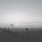 Κώστας Γουλιάμος | Στην αυγή του σύμπαντος κόσμου