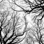 Paul Verlaine | Άκου, το κέρας θλίβεται