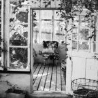 Μαργαρίτα Παπαμίχου | Κηπουρική