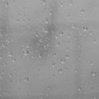 Κώστας Γουλιάμος | Της υγρασίας λείψανα