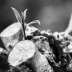 Άγγελος Ερατεινός | Γέννηση