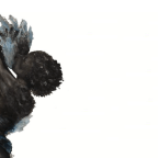 Περί Θανάτου Ζωής | Θεατρική παράσταση βασισμένη στο «Περί θανάτου» του Σαραμάγκου