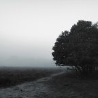 Δημήτρης Καρπέτης | Σιγή