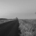 Αντώνης Μπαλασόπουλος | Ο ταμίας