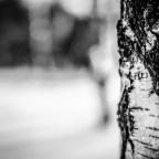 Εύη Γρίβα | Είμαστε κομμάτι της φύσης