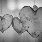 Άγγελος Ερατεινός | Έλξη