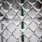 Γρηγόρης  Σακαλής | Κρύο