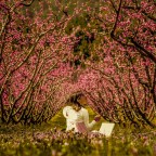 Διαγωνισμός χαϊκού από τον Τουριστικό Όμιλο Βέροιας