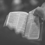 Τάκης Π. Πιερράκος | Προς Παύλον