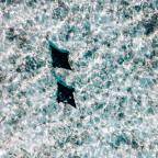 Δημήτρης Καρπέτης | Η απάτη της ζωής