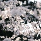 Άγγελος Ερατεινός | Απρίλης