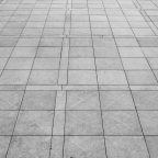 Δημήτριος Γκόγκας | Πέντε ποιήματα