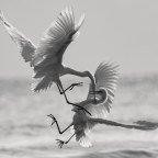 Χριστόφορος Τριάντης | Η ποινή