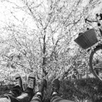 Δημήτρης Καρπέτης | Η ζωή αναταράσσεται