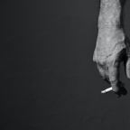 Πασχάλης Κατσίκας | Καρδερίνα