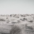 Μαργαρίτα Παπαμίχου | Αμμόλουτρα