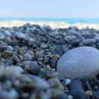 Ελένη Αλεξίου | ποιήματα