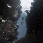 Γρηγόρης Σακαλής | Αγώνας