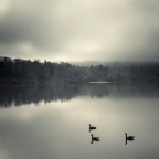 Landscapes | Ομαδική έκθεση φωτογραφίας