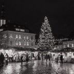 Δημήτρης Καρπέτης | Η γιορτινή μας πόλη
