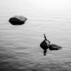 Λίνα Βαταντζή | Εξαγνισμός