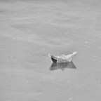 Άγγελος Ερατεινός |  Μπάρκο