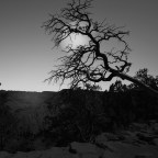 Κώστας Τσιούφης | η άνοιξη των ποιητών