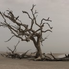 Δημήτρης Μπαλτάς | Πολλή μοναξιά αυτές τις μέρες