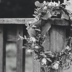 Άγγελος Ερατεινός | Με τόλμη