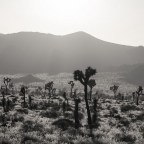 Κώστας Βασιλείου | Επειδή