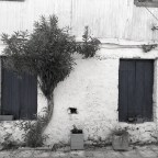 Άγγελος Ερατεινός | Με παράπονο