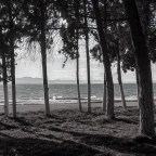 Άγγελος Ερατεινός | Διαπασών