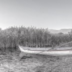 Άγγελος Ερατεινός |  Διψασμένη γλώσσα