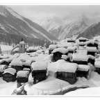 Αργύρης Φυτάκης |  Το παζάρι της Πρωτοχρονιάς